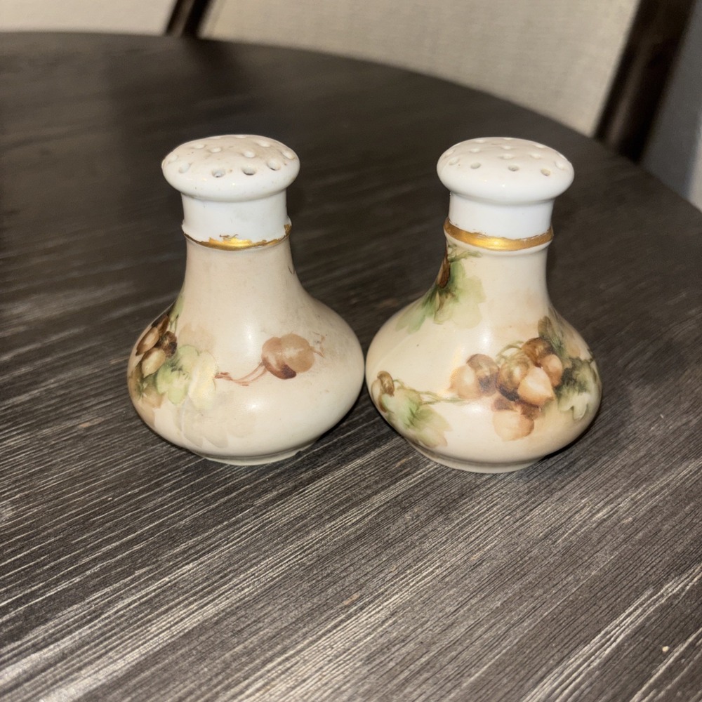 MZ Moritz Zdekauer Salt Pepper Shakers Hand Painted Gold‎ 1884-1909